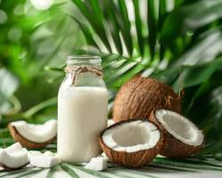 Fresh Premium Coconut Milk (200ml)